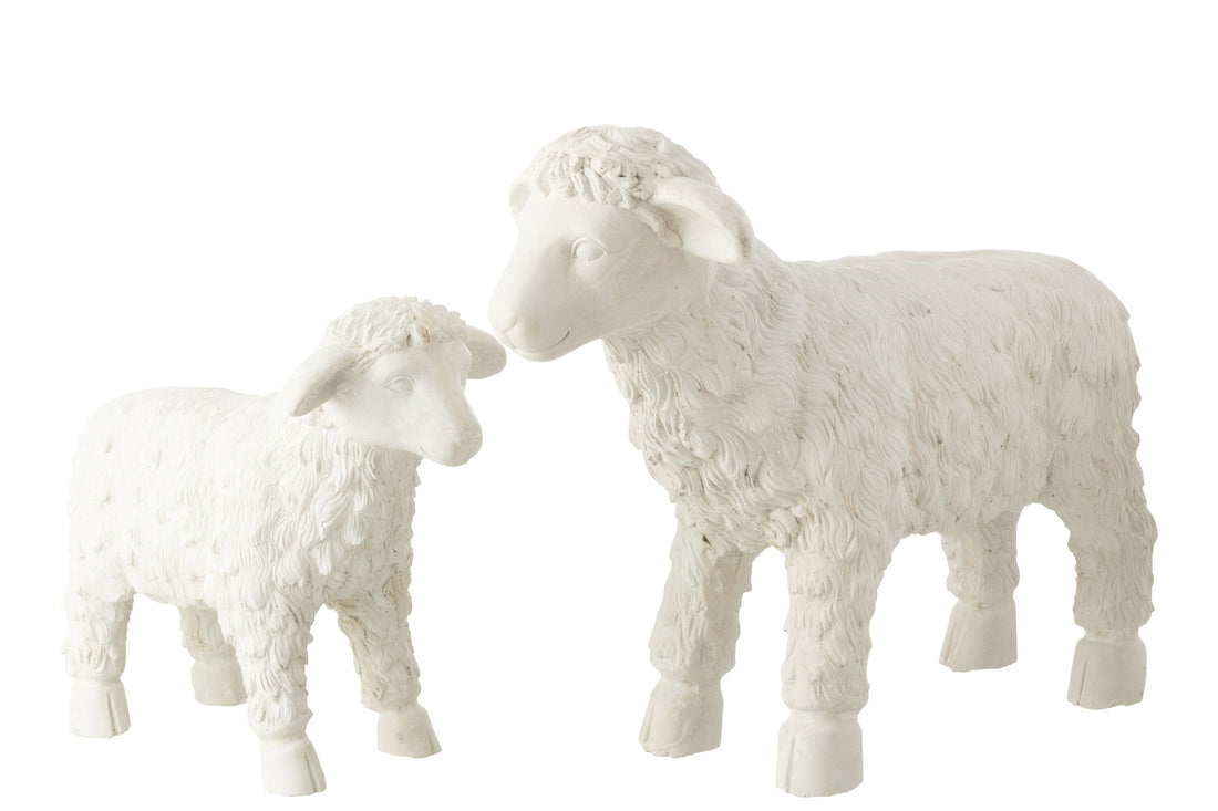 Schaap Outdoor Mgo Beige Large