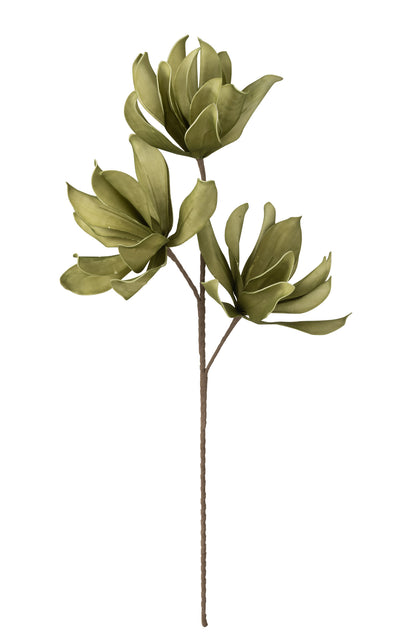 Bloem 3 Koppen Eva Groen J-Line