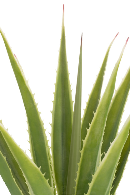 Agave Gebroken Wit Kunstmatig Groen 80x80x150cm
