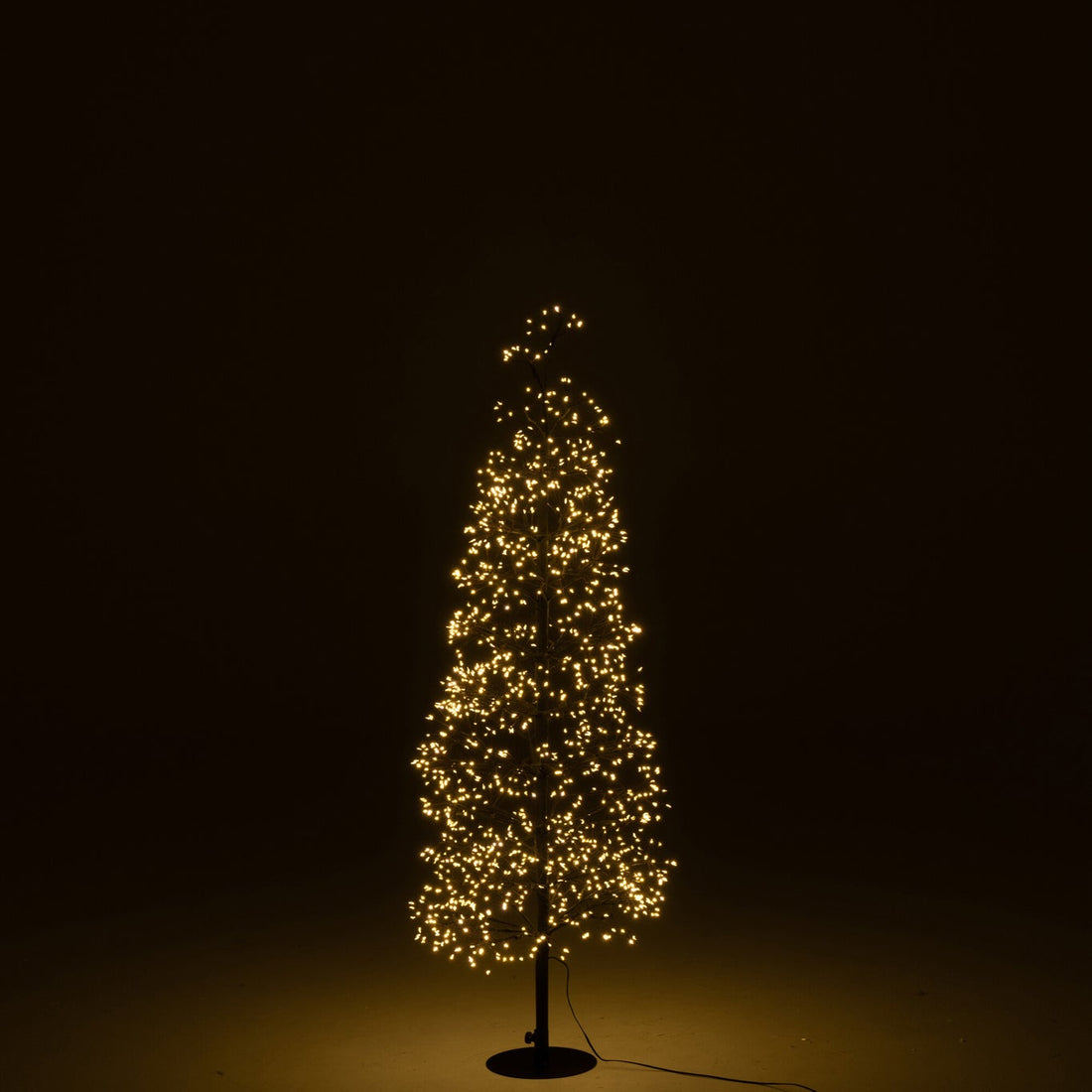 Boom Led Warm Witte Lichten Ijzer Zwart Medium H120cm J-line