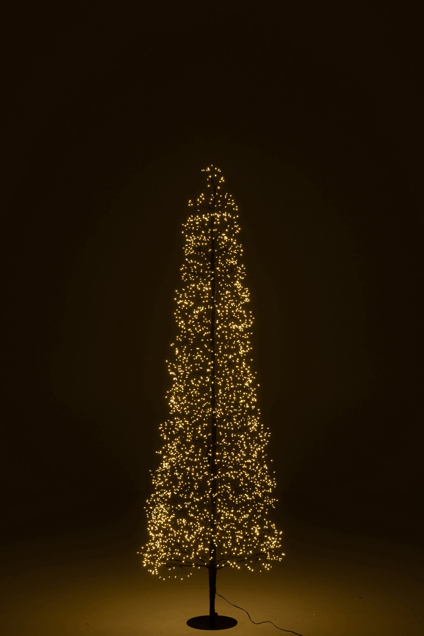 Boom Led Warm Witte Lichten Ijzer Zwart Large H180cm J-Line