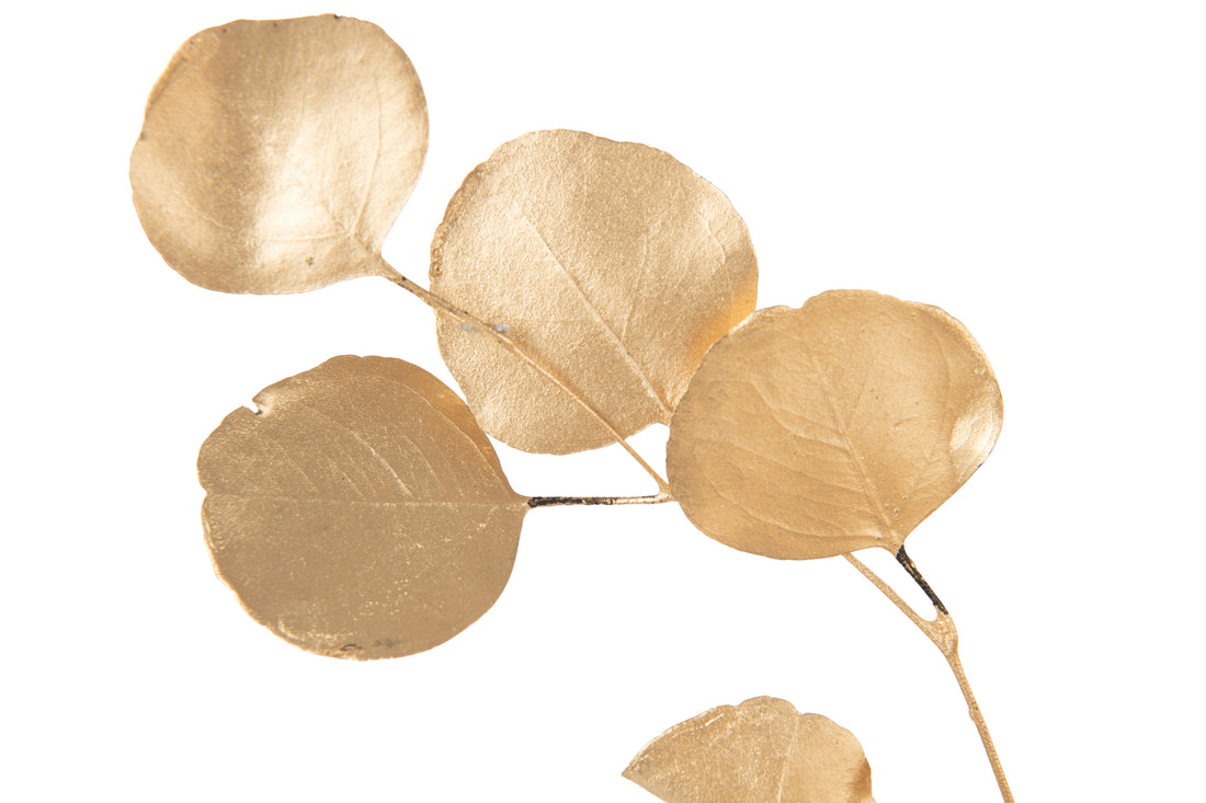 Eucalyptus Droogbloem Goudkleurig J-Line