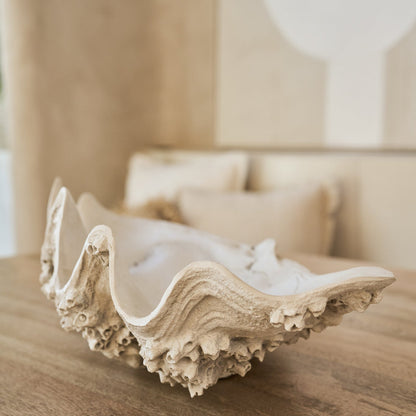 Sierschaal Zeeschelp Hars Gebroken Wit Large J-Line