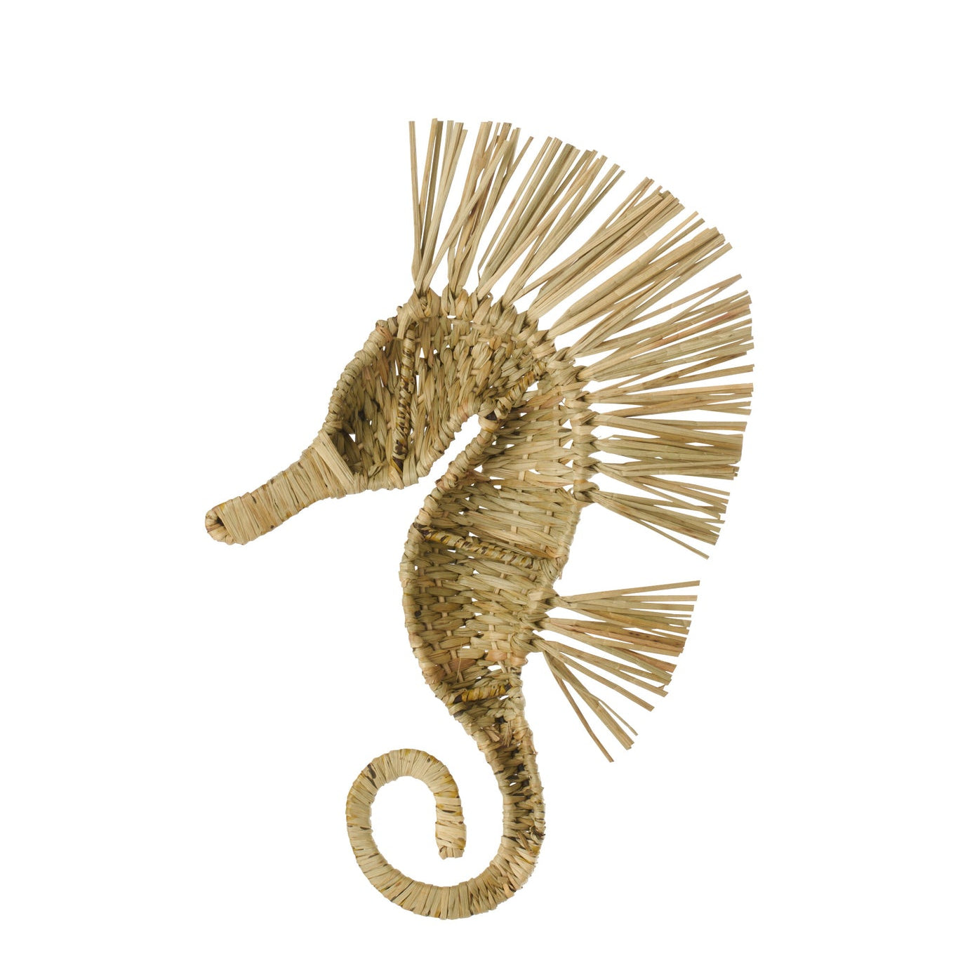 Wandobject Zeepaard Gras Naturel Small J-Line