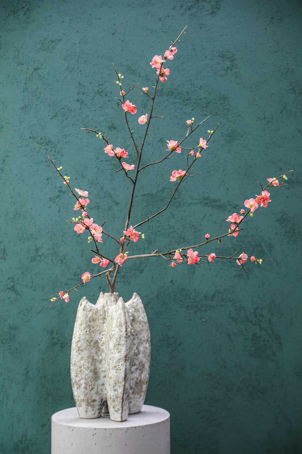 Blossom Flower Pink Cherry Blossom L PTMD