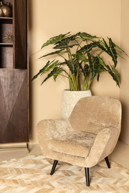 Fauteuil Donny Cream fauteuil black wooden legs PTMD