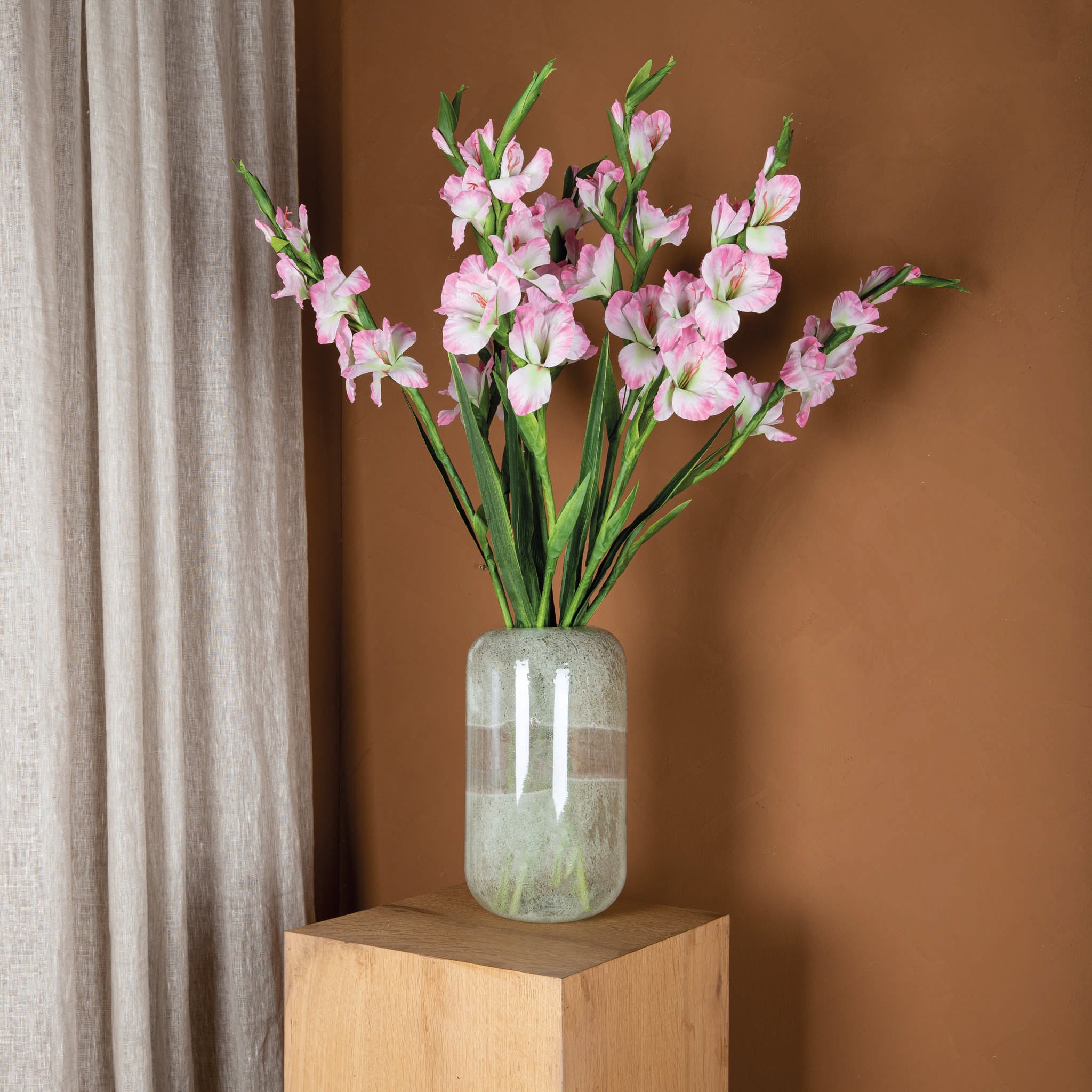 Garden Flower Light Pink Gladiolus With Leaves PTMD