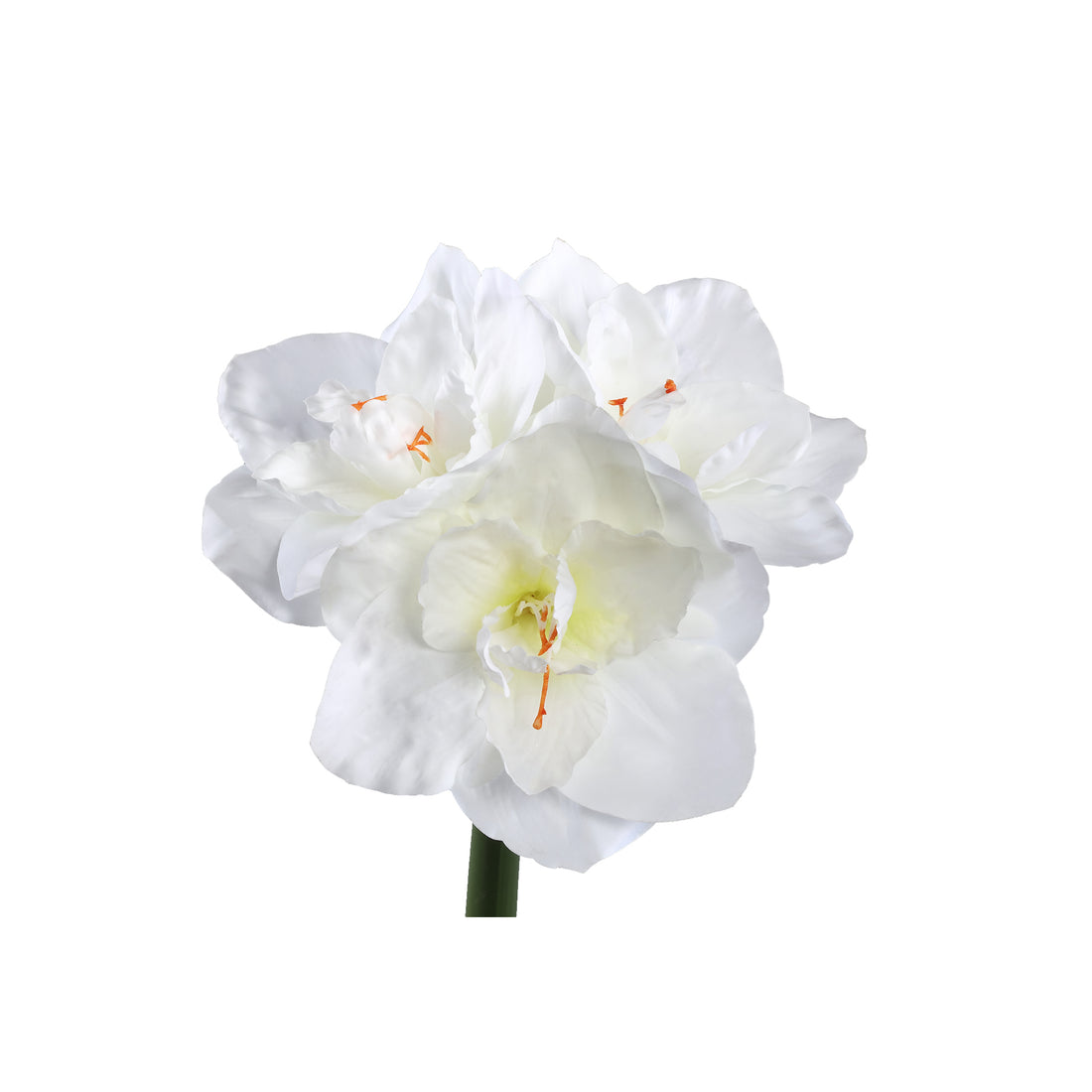 Kunstbloem Amaryllis - 17x38x75 cm - Kunststof - Wit PTMD