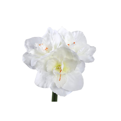 Kunstbloem Amaryllis - 17x38x75 cm - Kunststof - Wit PTMD