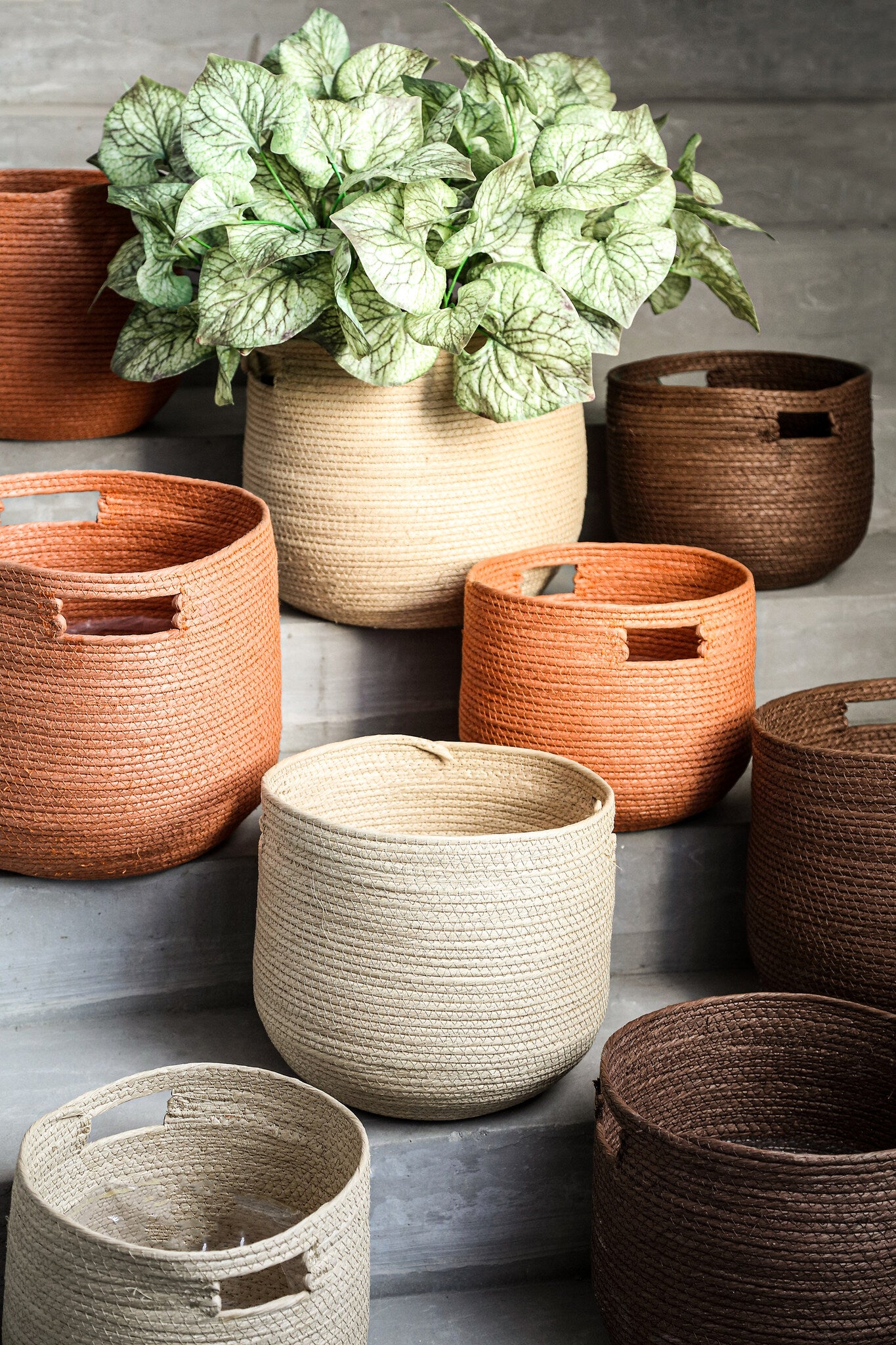 Mellaine Brown Paper Rope Round Basket Handle Set van 3 PTMD