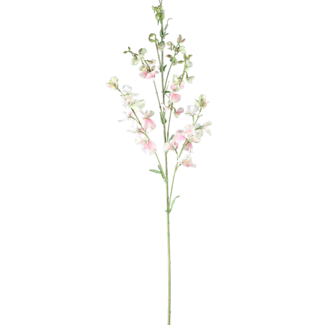 Garden Flower Cream Sweetpea Stem PTMD
