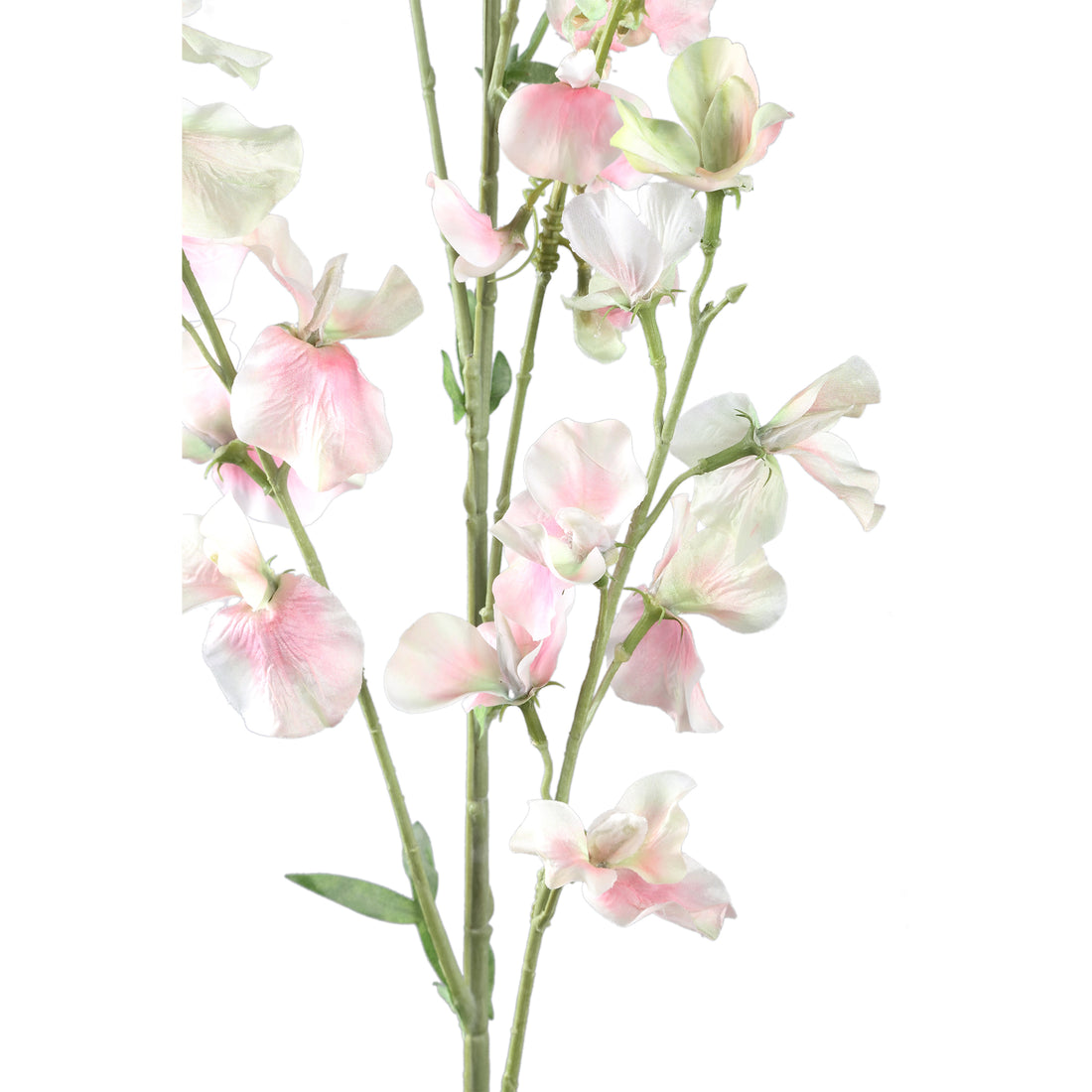 Garden Flower Cream Sweetpea Stem PTMD