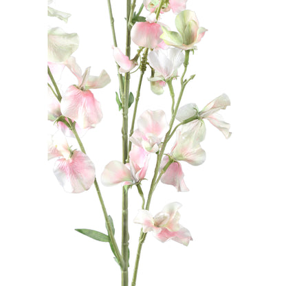 Garden Flower Cream Sweetpea Stem PTMD
