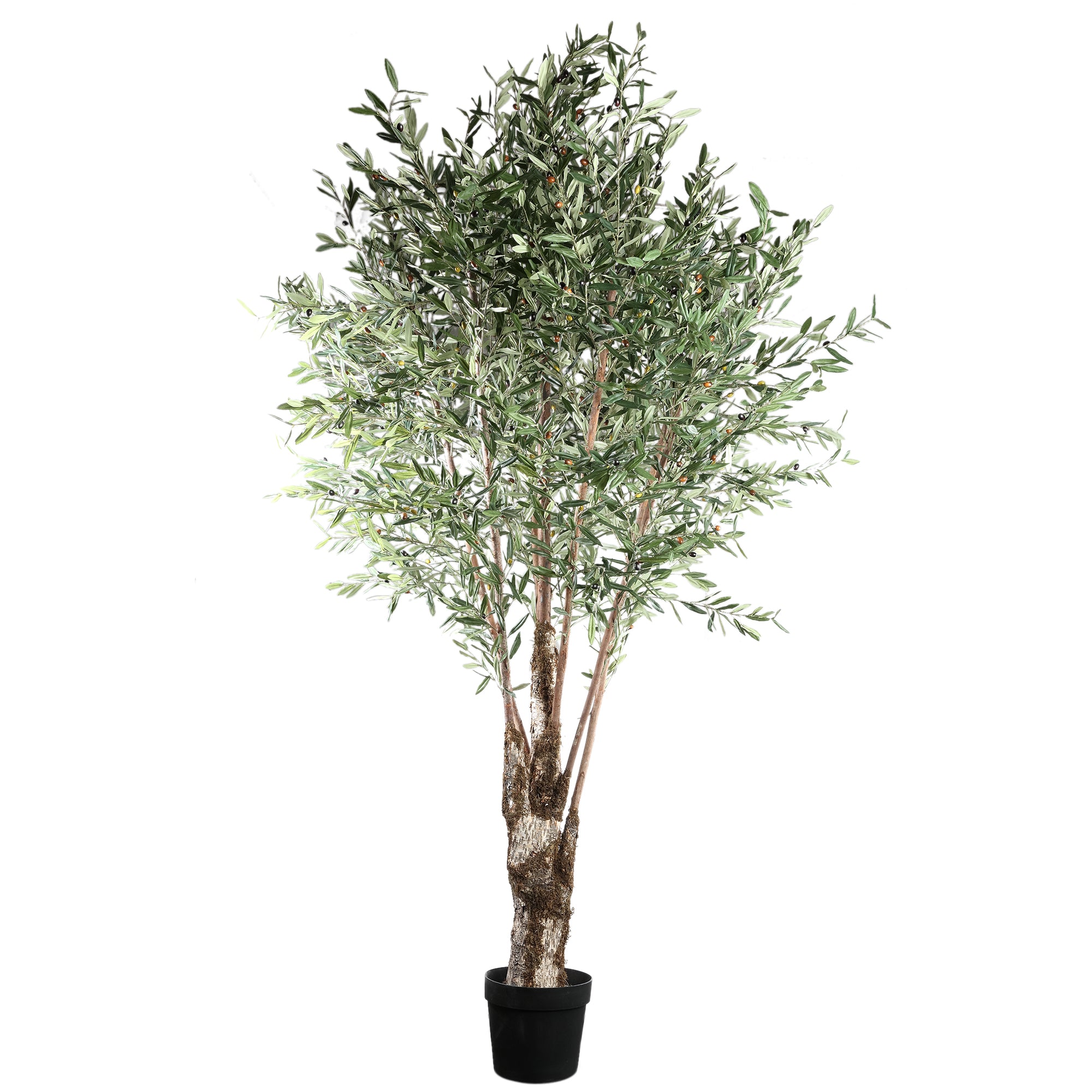 Tree Green Olive Tree in plastic pot 140x140x265cm PTMD