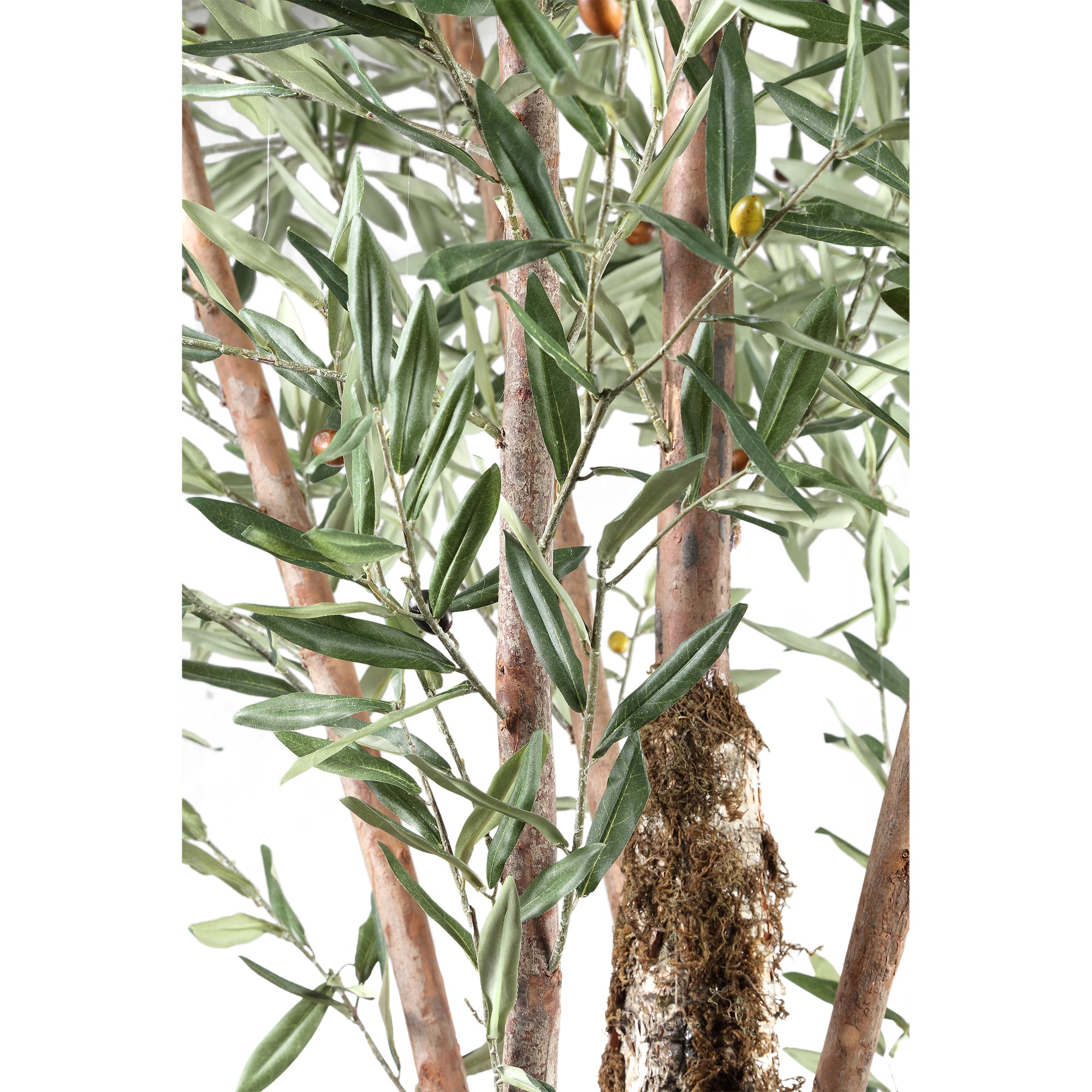 Tree Green Olive Tree in plastic pot 140x140x265cm PTMD