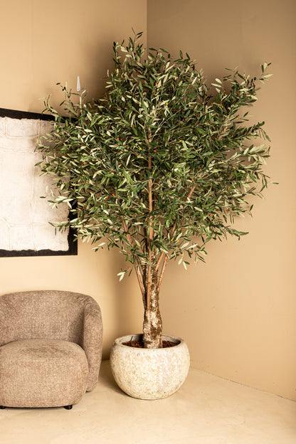 Tree Green Olive Tree in plastic pot 140x140x265cm PTMD