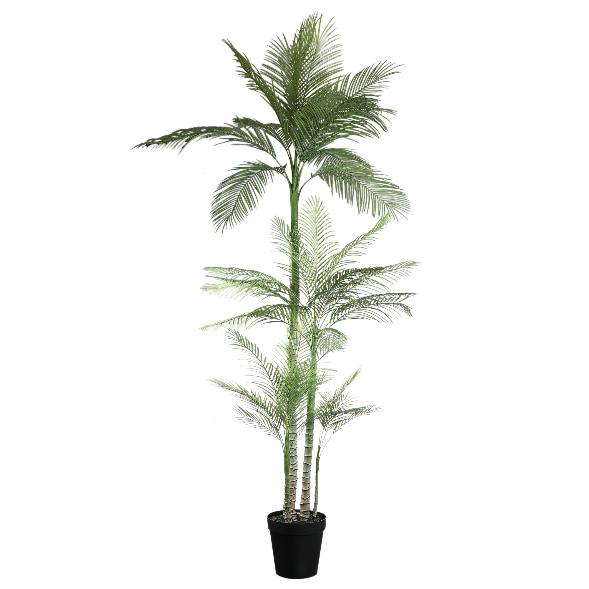 Tree Green Palm Tree In Black Pot 160x160.x248cm PTMD
