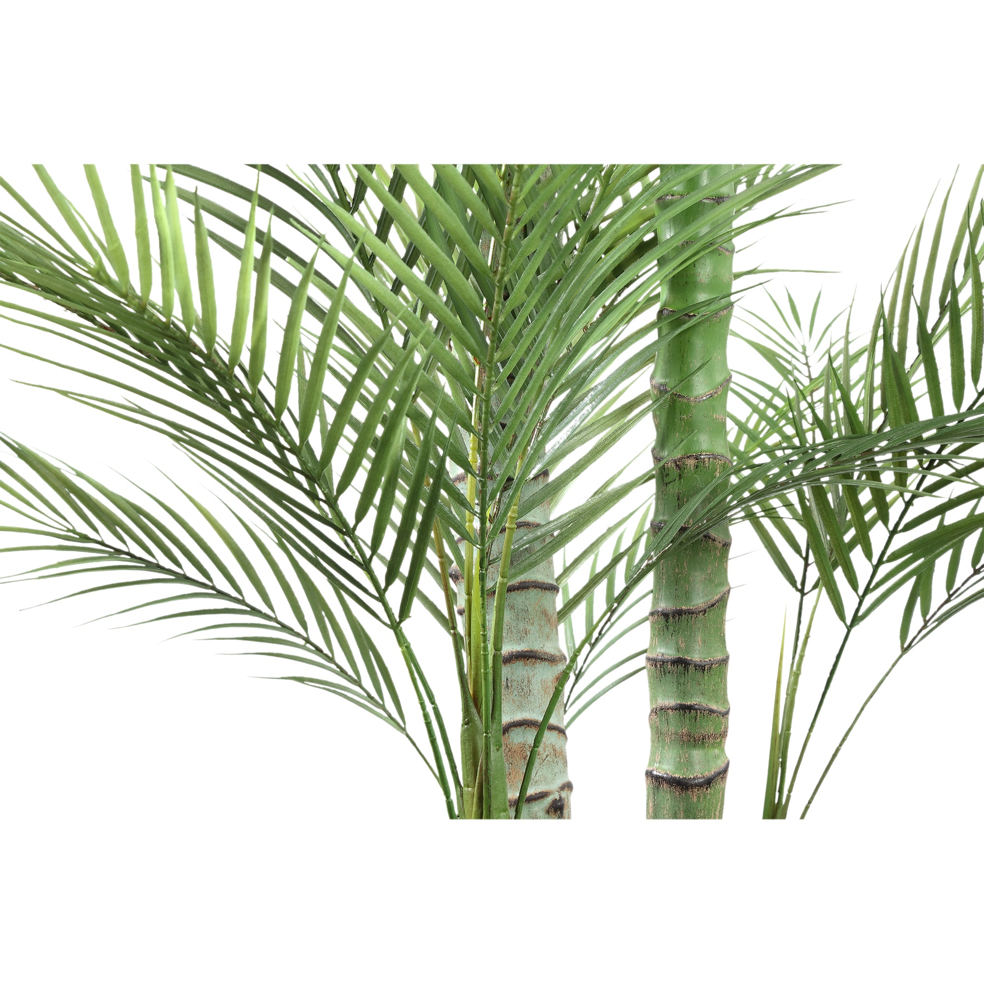 Tree Green Palm Tree In Black Pot 160x160.x248cm PTMD