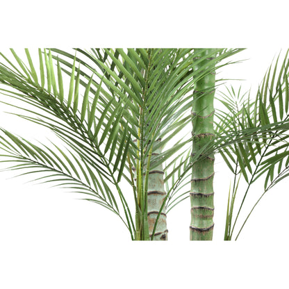 Tree Green Palm Tree In Black Pot 160x160.x248cm PTMD