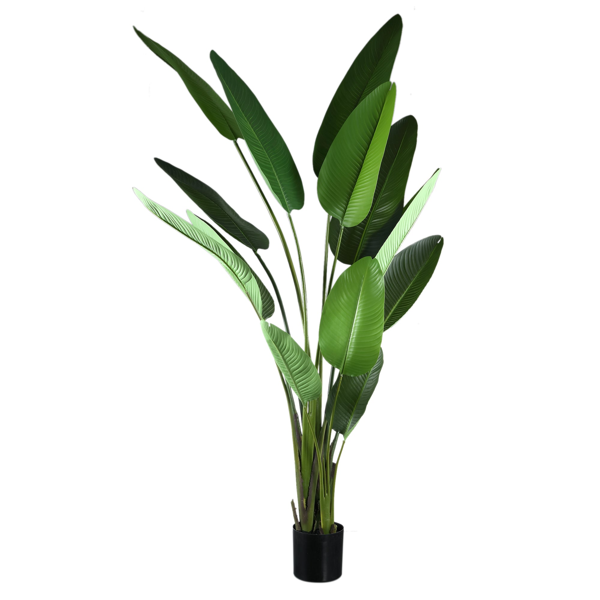 Leaves Plant Green PE Real Touch Strelitzia XL 130x87x310cm PTMD