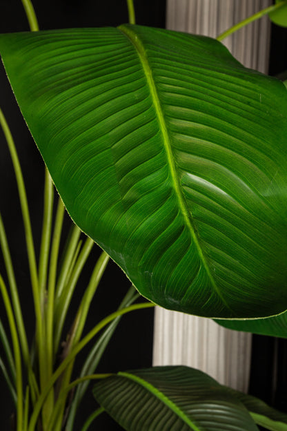 Leaves Plant Green PE Real Touch Strelitzia XL 130x87x310cm PTMD