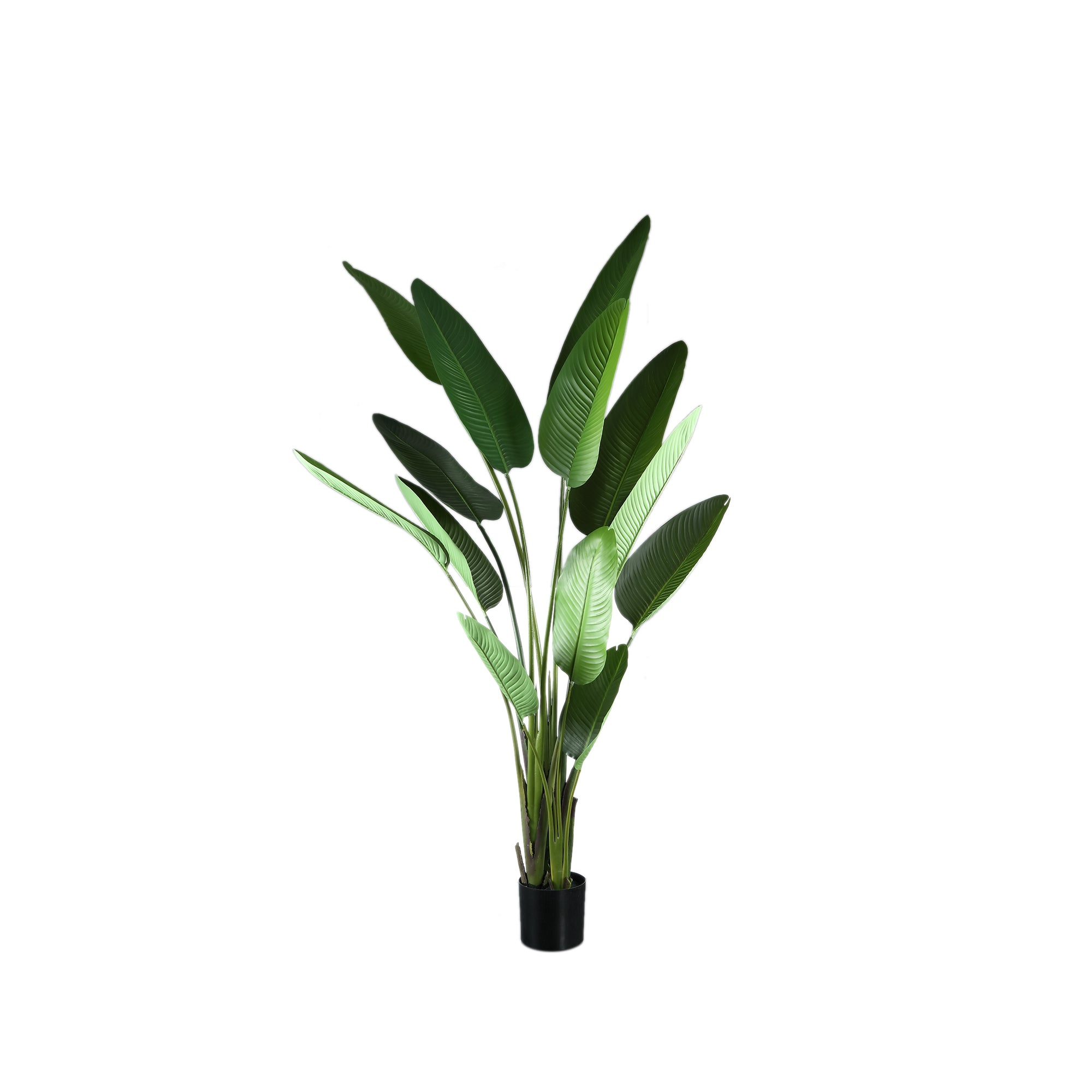 Leaves Plant Green PE Real Touch Strelitzia L 110x63x235cm PTMD