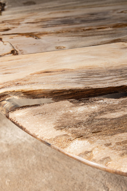 Salontafel Deeba petrified wood 130 PTMD
