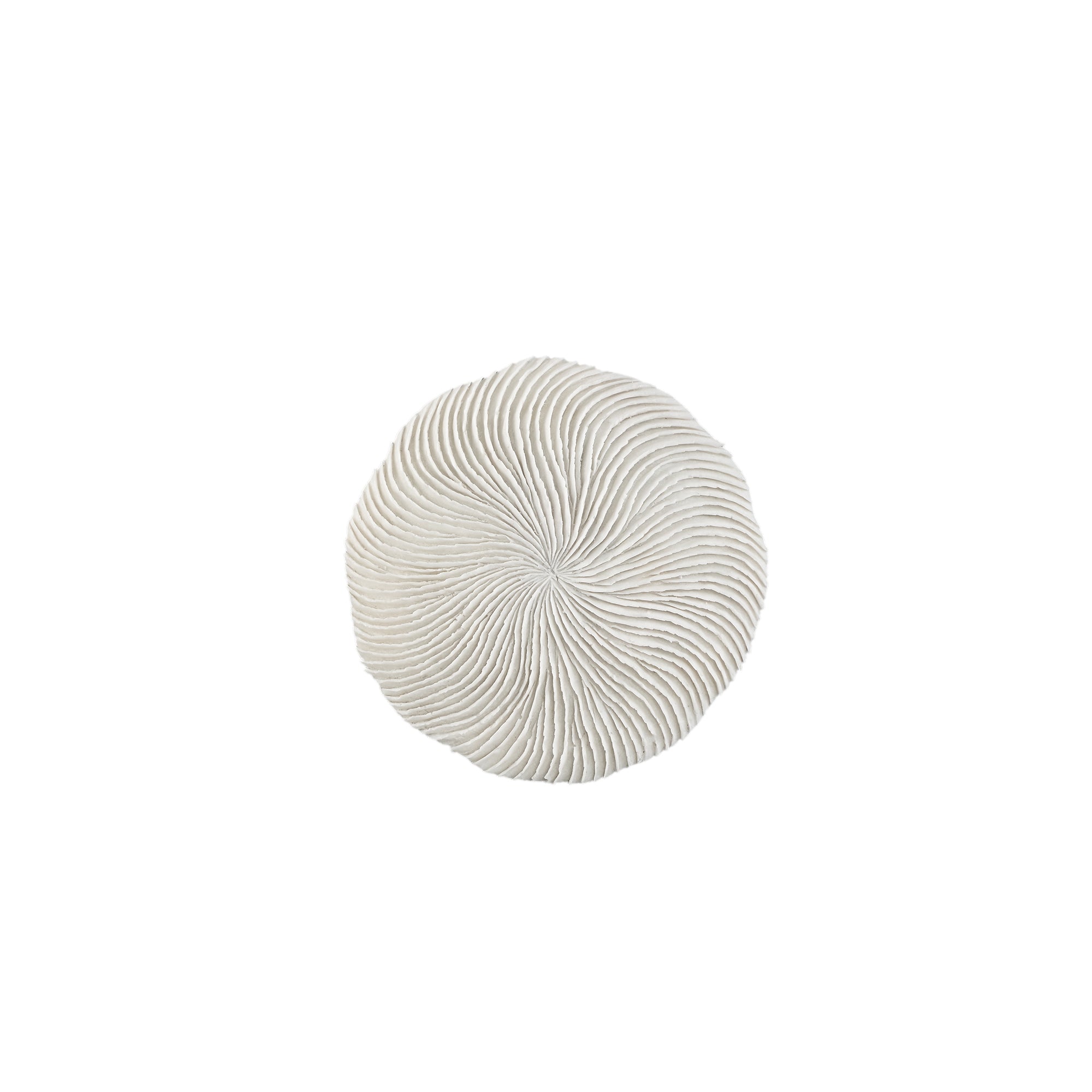 Kathelle White Poly Round Coral Shaped Wallpanel S PTMD
