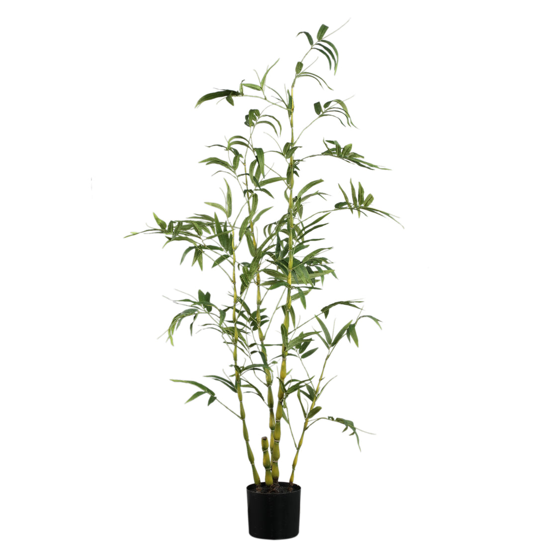 Tree Green Bamboo Tree In Pot 135x80x150cm PTMD
