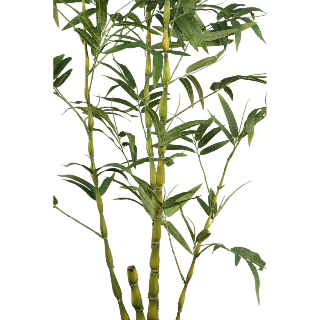 Tree Green Bamboo Tree In Pot 135x80x150cm PTMD