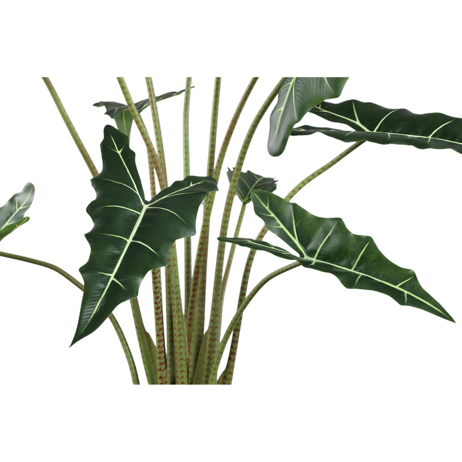 Leaves Plant Green Alocasia Plant In Pot L 117x137x140cm PTMD