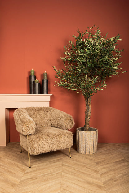 Tree Green Olive Tree In Pot 120x120x210cm PTMD