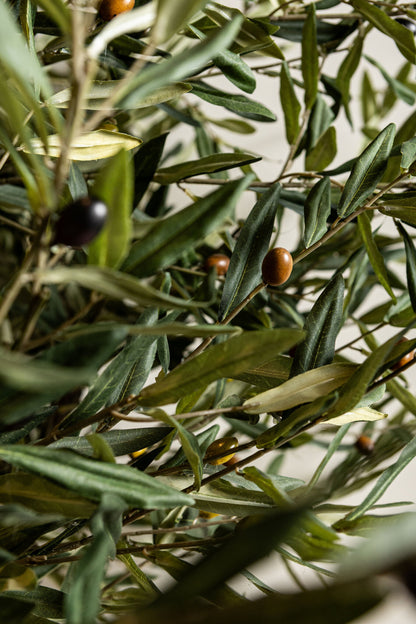 Tree Green Olive Tree In Pot 120x120x210cm PTMD