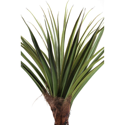 Tree Green Pandanus tree in pot 140x140x210cm PTMD
