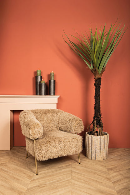 Tree Green Pandanus tree in pot 140x140x210cm PTMD