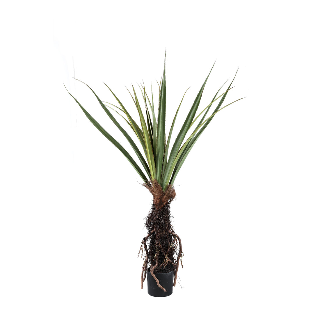 Tree Green Pandanus tree in pot 130x130x150cm PTMD