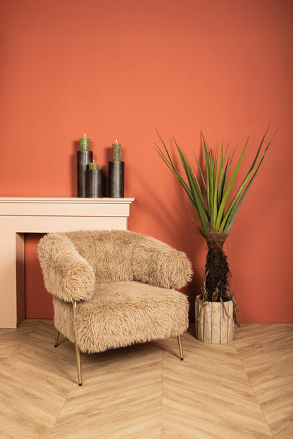 Tree Green Pandanus tree in pot 130x130x150cm PTMD