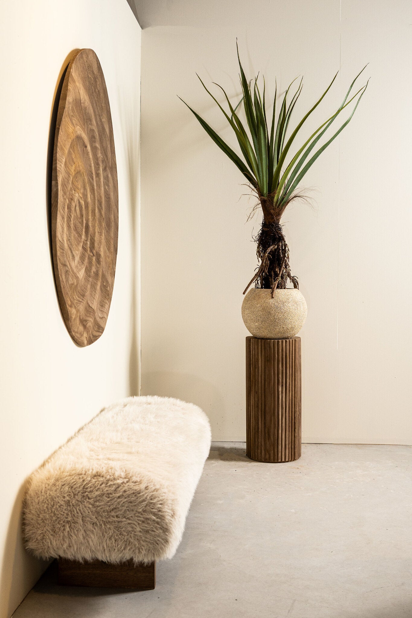 Tree Green Pandanus tree in pot 130x130x150cm PTMD