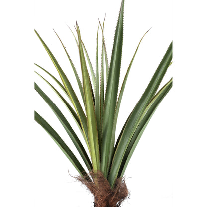 Tree Green Pandanus tree in pot 130x130x150cm PTMD