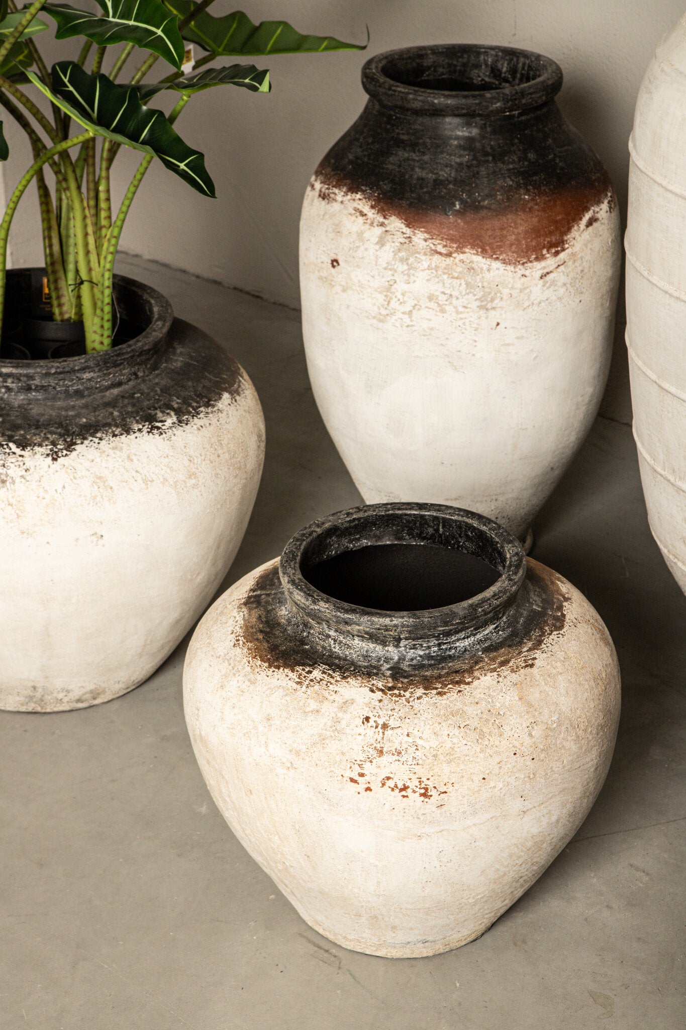 Jinsu White round GRC jar pot dark top PTMD