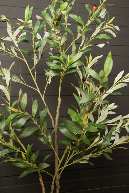 Tree Green Olive Tree In Pot S 92x65x126cm PTMD