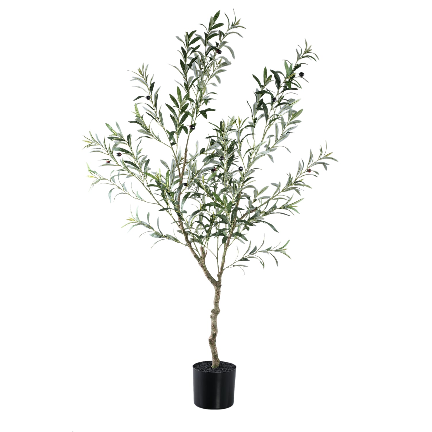 Tree Green Olive Tree In Pot L 110x70x156cm PTMD