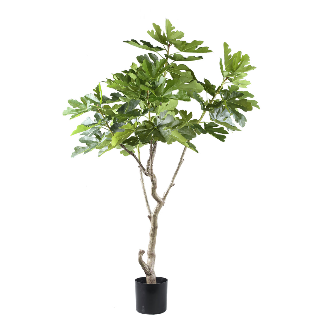 Tree Green Fig Tree In Pot L 118x110x152,5cm PTMD