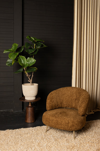 Tree Green Ficus Tree In Pot L 118x 85x183cm PTMD