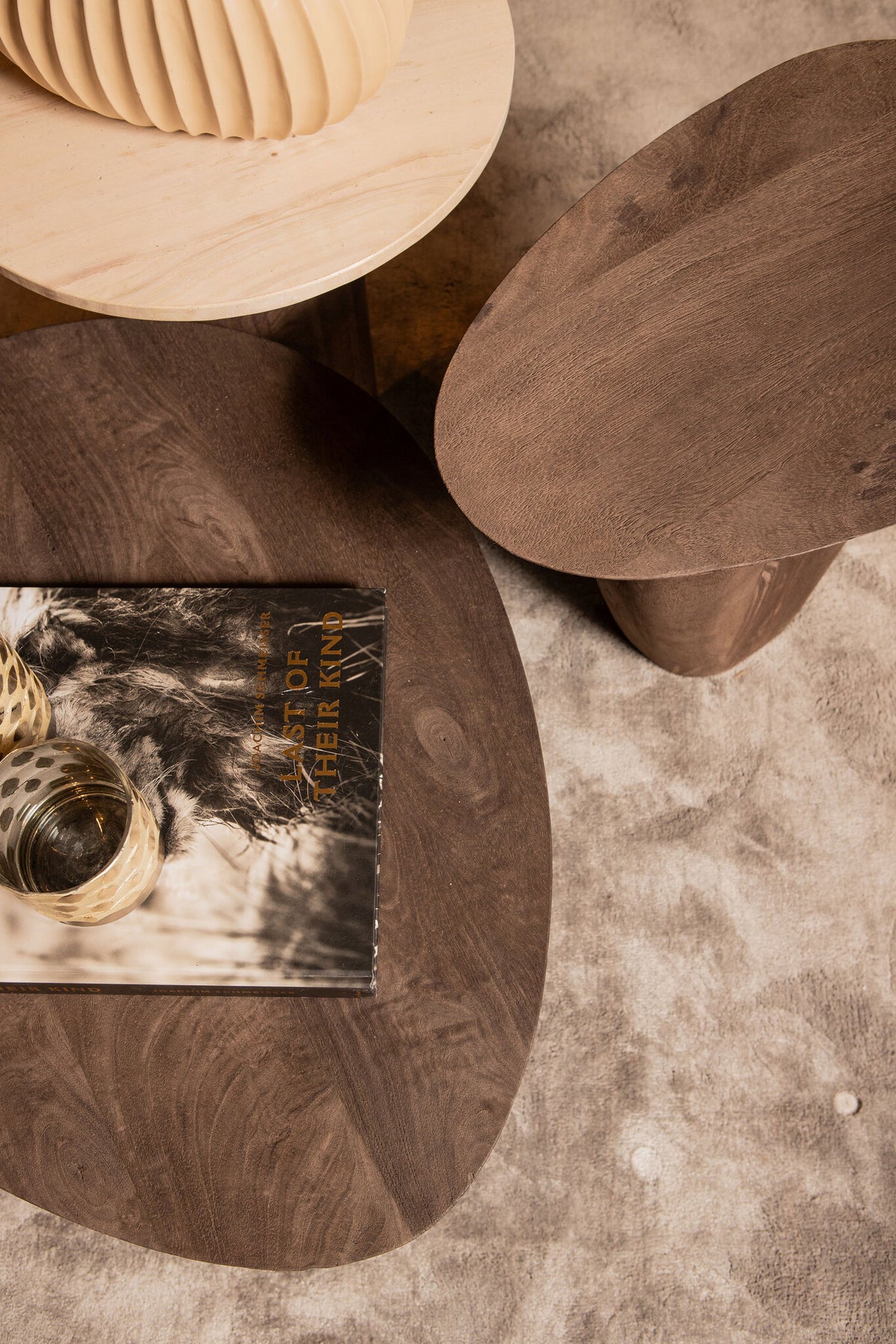 Harshad Brown Mango Wood Coffee Table Organic PTMD