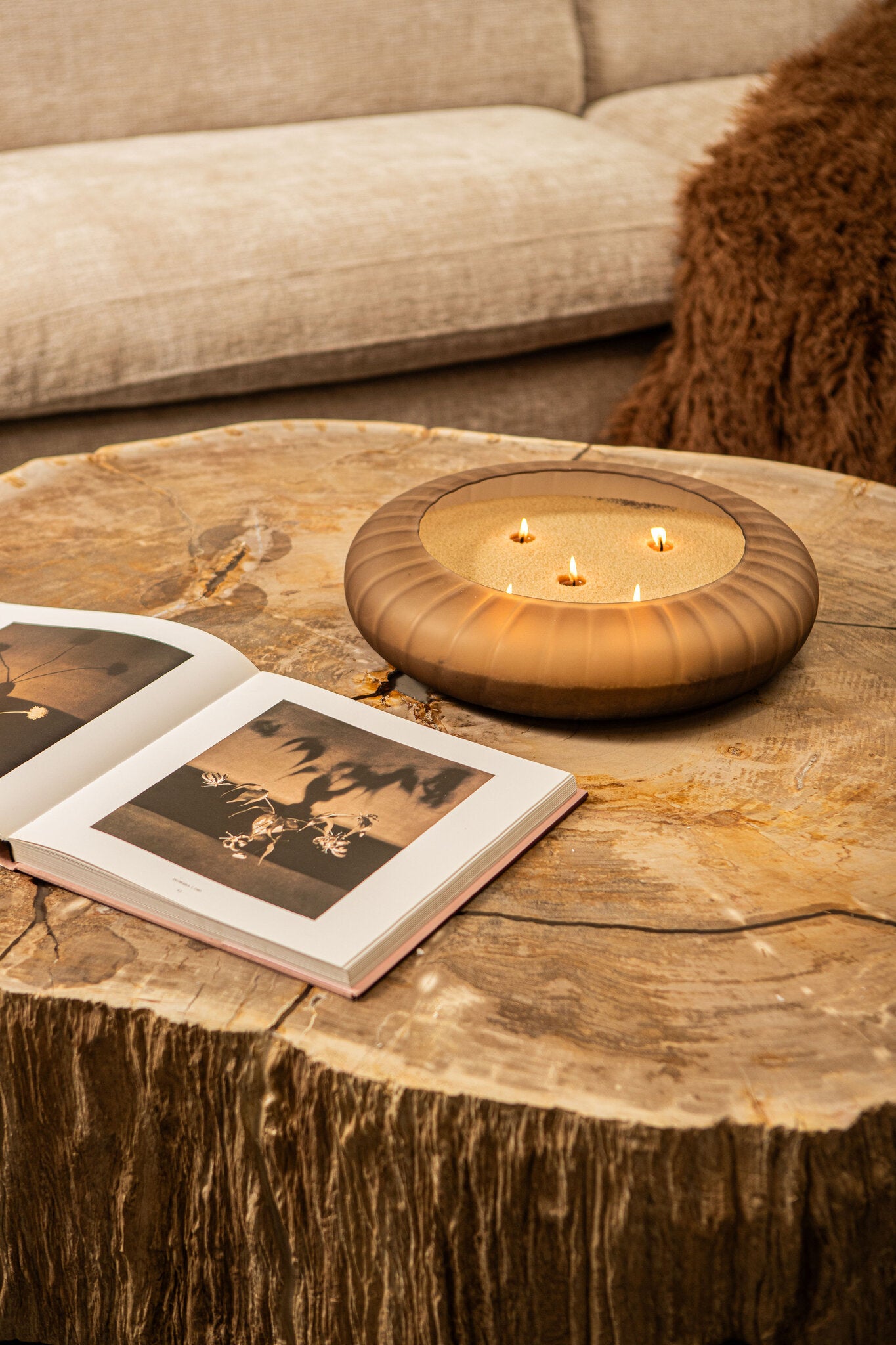 Taly Koffietafel Versteend Hout Naturel Large PTMD