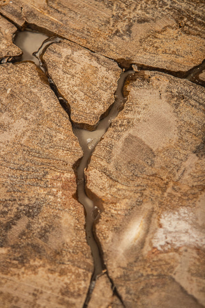 Taly Koffietafel Versteend Hout Naturel Large PTMD