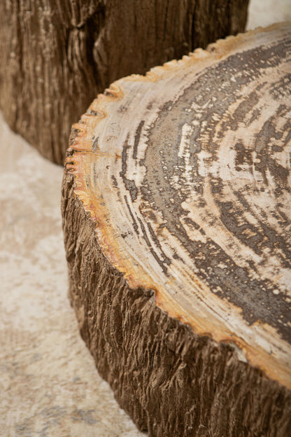 Taly Koffietafel Versteend Hout Naturel Large PTMD