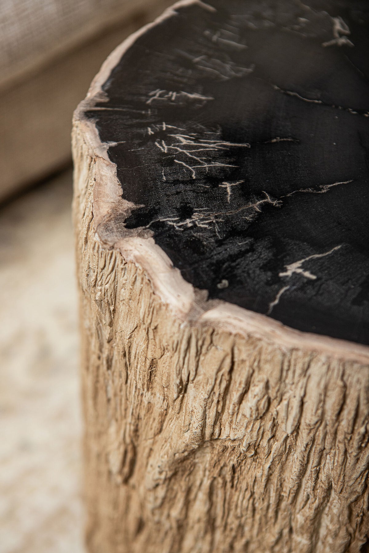 Taly Natural Petrified Wood Round Stool Fiberglass PTMD