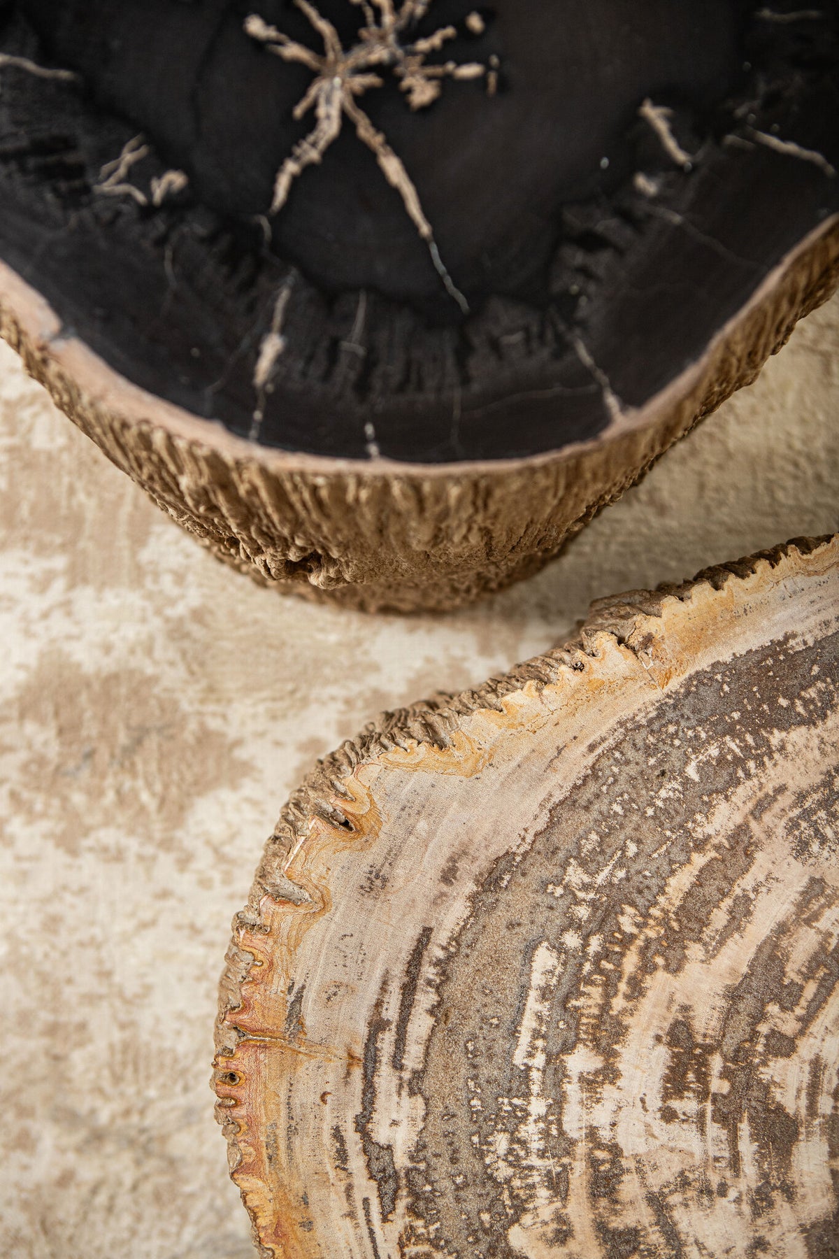 Taly Natural Petrified Wood Round Stool Fiberglass PTMD